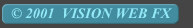  2001  VISION WEB FX